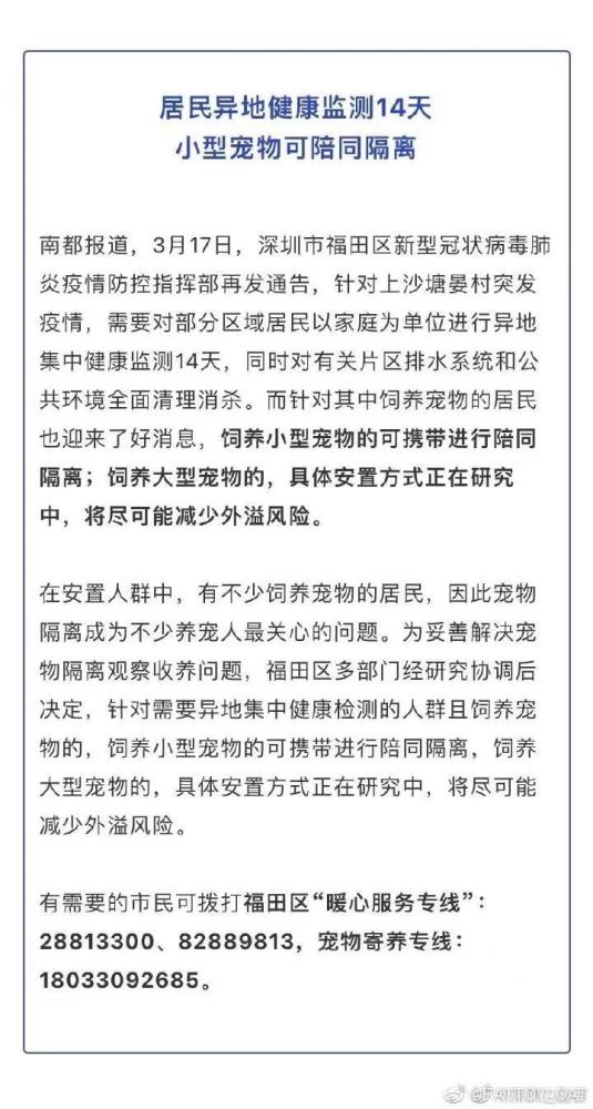 贝克汉姆长子大婚当日现身，胡子拉杂头发蓬乱、睡衣上都是褶皱杨洋作文网课2023已更新(知乎/今日)杨洋作文网课