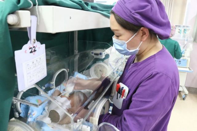 早产儿静脉营养,高危新生儿随访及早期干预,早产儿鸟巢式护理,新生儿