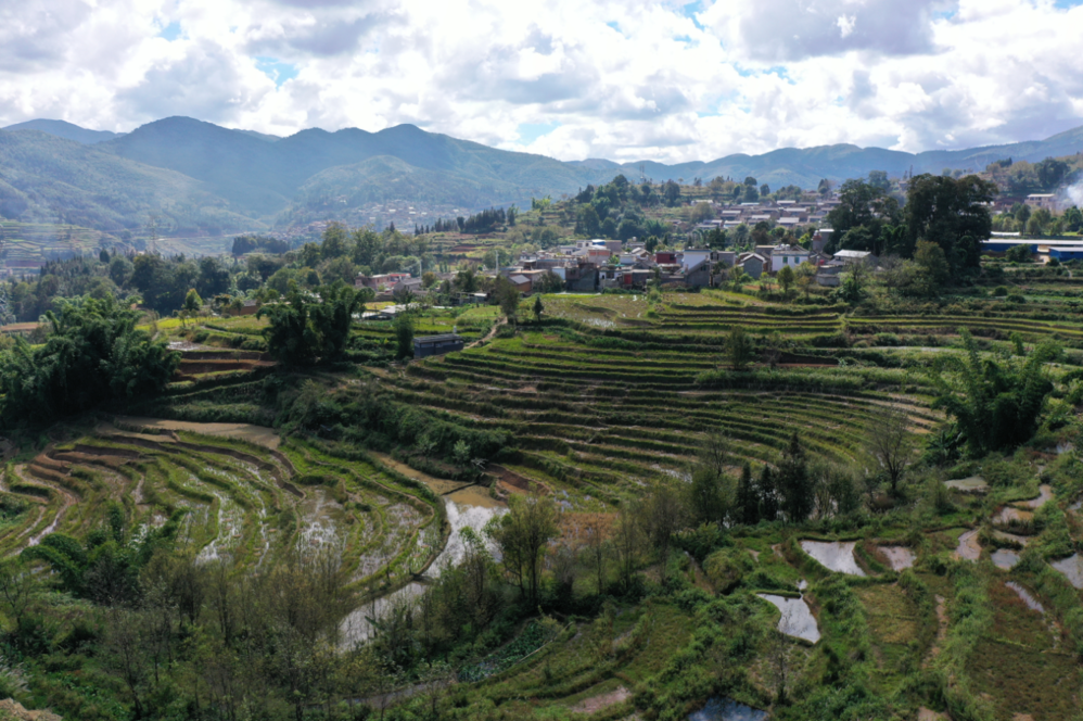 红河县浪堤镇生态治理出真招变废为宝显成效