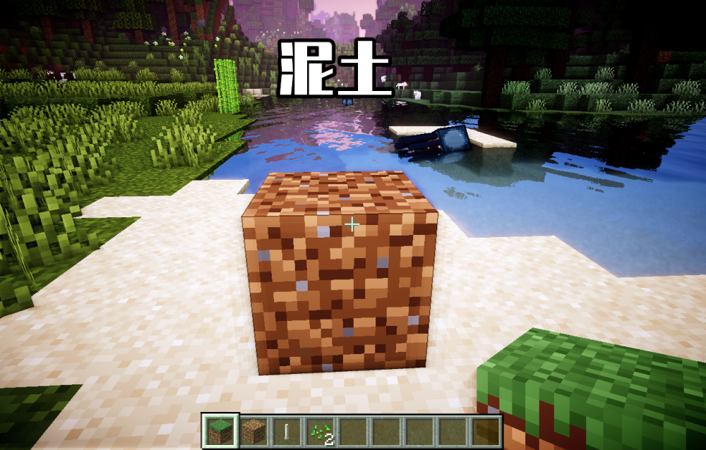 我的世界:mc有15种泥土?无草泥土,不说你可能这辈子不知道!