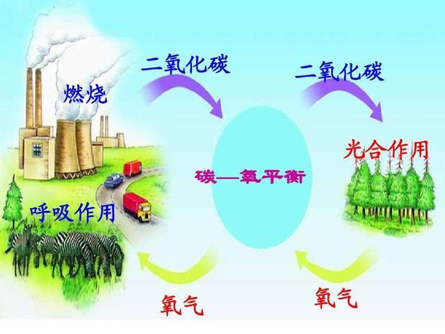杨培东的伟大成就:研发人工光合作用,让二氧化碳变成汽油,药品_腾讯