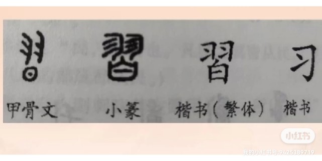 从甲骨文字形上看"羽"字表示鸟的翅膀,似乎是"鸟在阳光下练习飞翔.