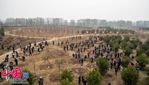 今天，133名部级干部在北京通州区植树1100余株语文哪个网校教得好2023已更新(网易/知乎)语文哪个网校教得好
