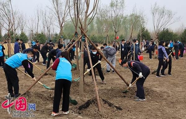 法航荷航集团：暂停2月9日前所有往返中国大陆航班百家讲坛李清泉校长