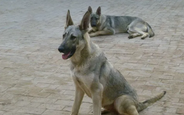 腾讯内容开放平台