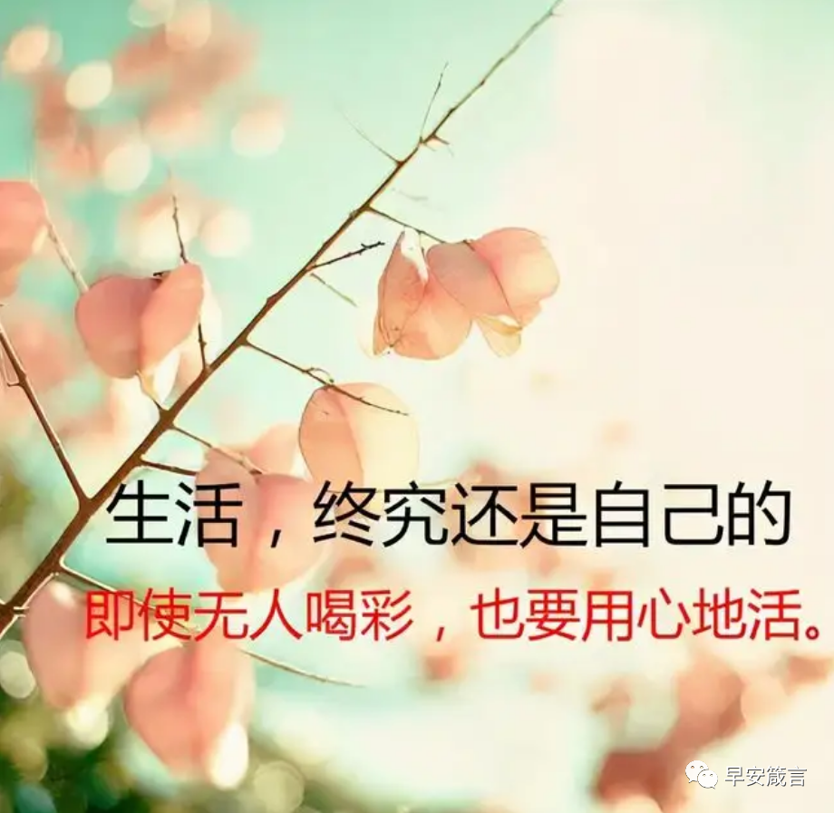 哲理的句子经典语录(感悟人生的经典哲理语录,简短精辟说透生活的句子