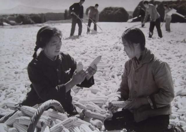 1952年,河北晋州市周家庄乡在雷金河的带领下,开始实行人民公社制度