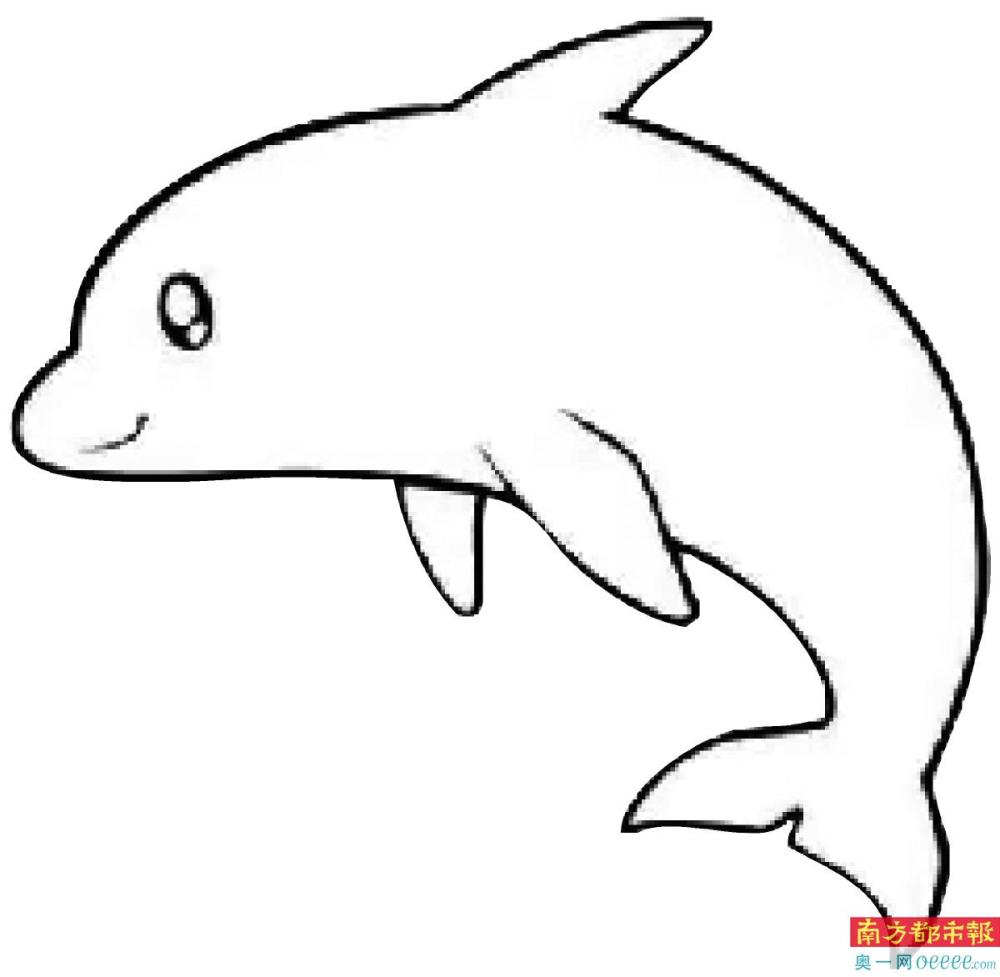 30只中华白海豚现身雷州湾跃出海面嬉戏游玩