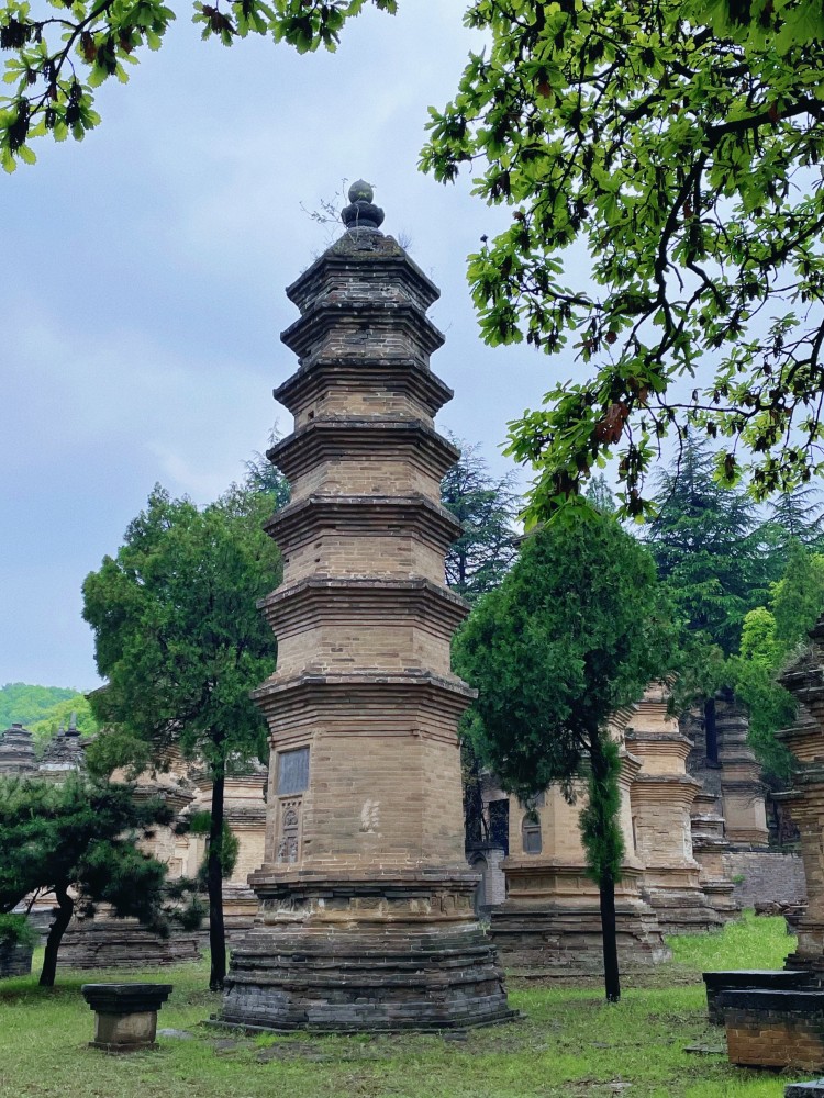 国内埋葬了最多高僧的塔林是中国古塔艺术博物馆也是世界遗产