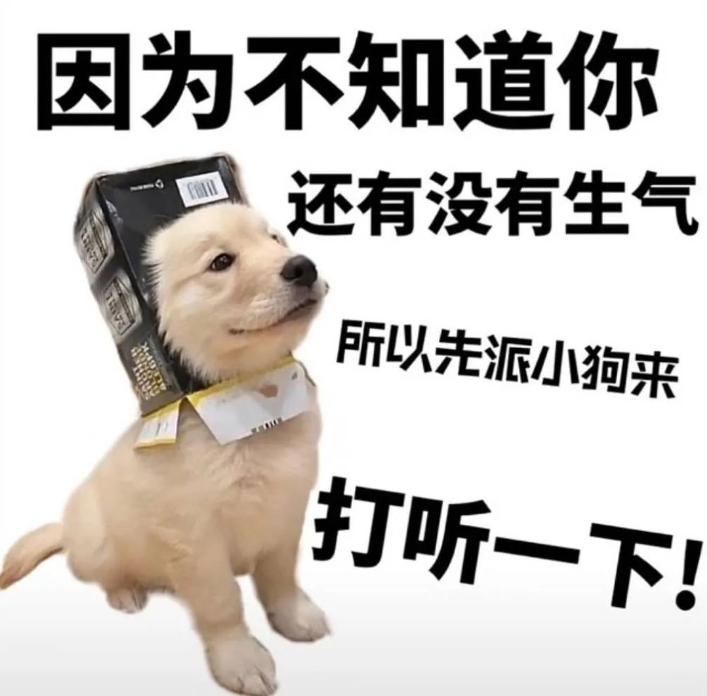 我要支棱起来