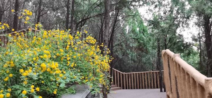 于水的亲密关系关系出自诗经 小雅 棠棣 "棠棣之花,萼胚依依手足之情