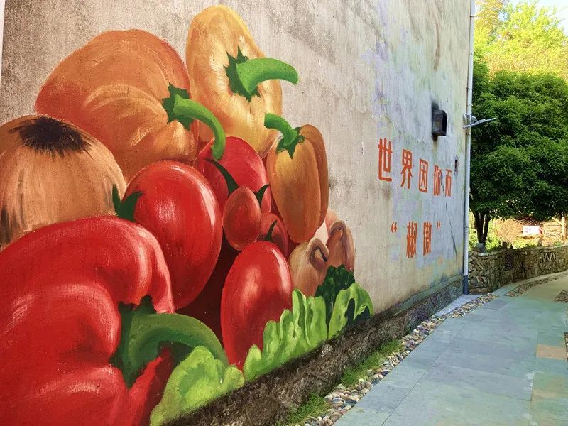 村中的8条巷子分别以当地主产的蔬菜命名,用墙绘图文并茂介绍各类蔬菜