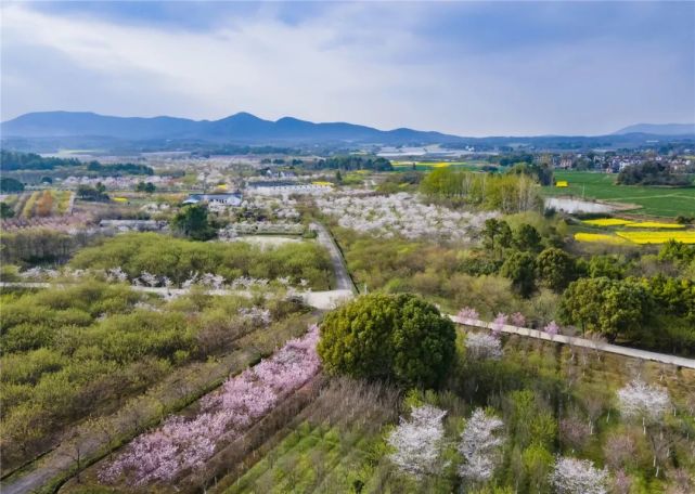 曹山,給你點