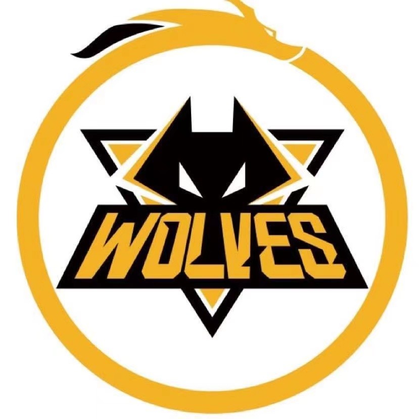 计划有变gk总冠军estar狼队陨落原因曝光kpl已重新洗牌