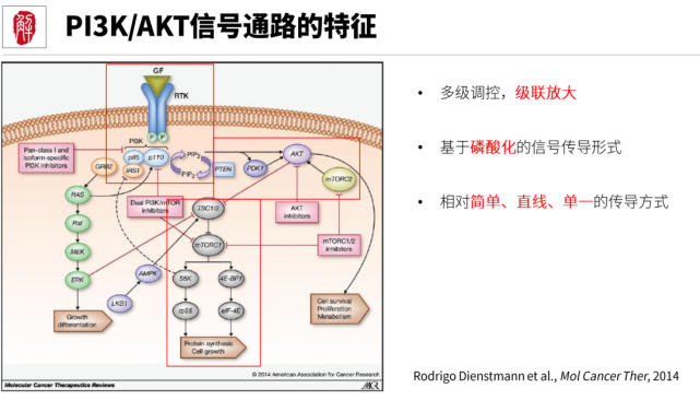 12张信号通路图解锁肿瘤疾病研究高分sci