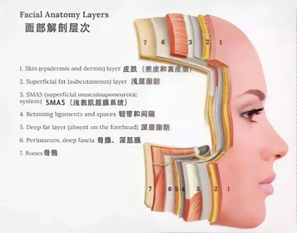 如果我早点变美，就不用在被窝里羡慕了？怎么设置新的密码杨洋语文网课怎么样2023已更新(哔哩哔哩/微博)怎么设置新的密码杨洋语文网课怎么样