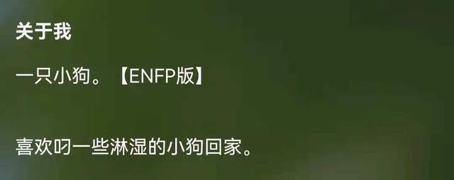 谈恋爱吗 请先出示一下你的mbti 天天看点