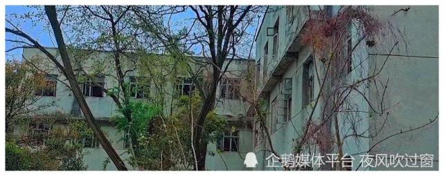 一家废弃医院,荒凉冷清空无一人,胆小者请勿入内|贵州|302医院|安顺