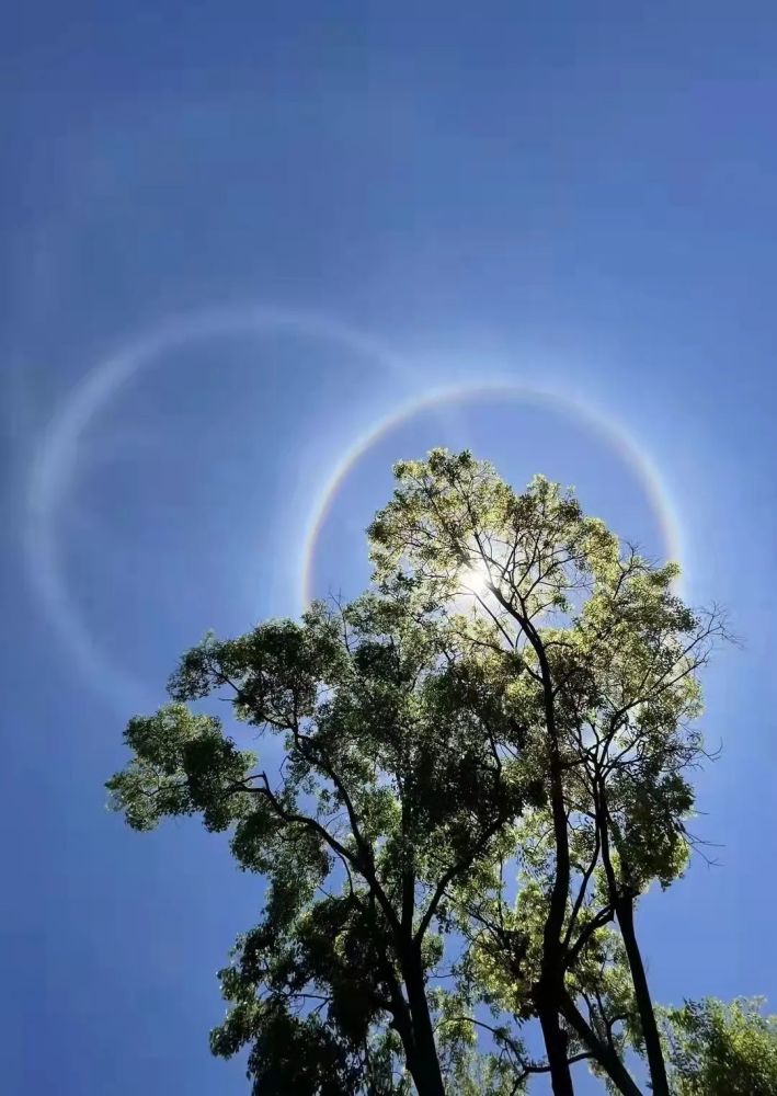 摄/梅儿日晕的出现给大地增添了几分惊艳即便知道是正常的天气现象