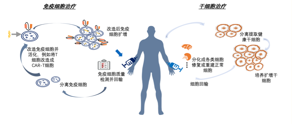 以cart疗法为代表细胞与基因治疗已成燎原之势