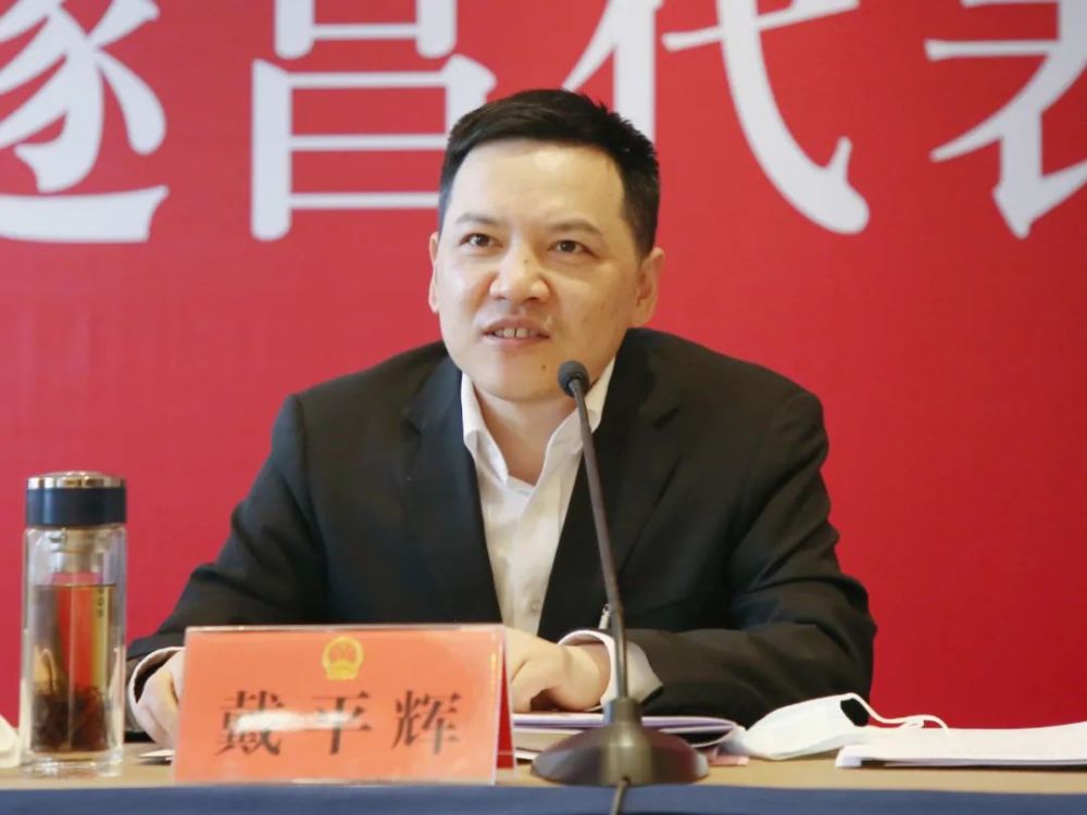 聚焦市两会遂昌代表团认真审议政府工作报告等戴平辉出席并讲话