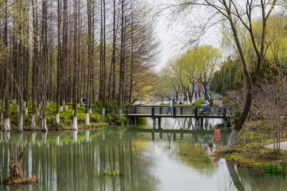 低碳春遊推薦常州地鐵沿線的三座寶藏公園