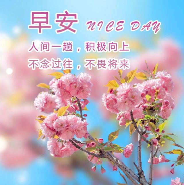 我们关心成功,也关心失败,更关心每个人要面对的那座山,我们关心美好