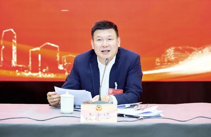 凌志峰参加政协联组讨论高质量建言资政高水平履职尽责