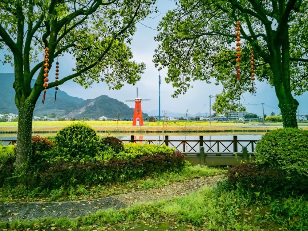 一草一木皆美景,在苍南水乡遇见最撩人的春色!_腾讯新闻