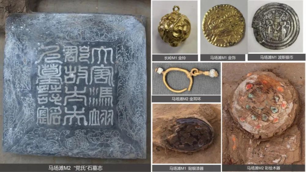 甘肃武威唐代吐谷浑王族墓葬群部分出土文物图片一