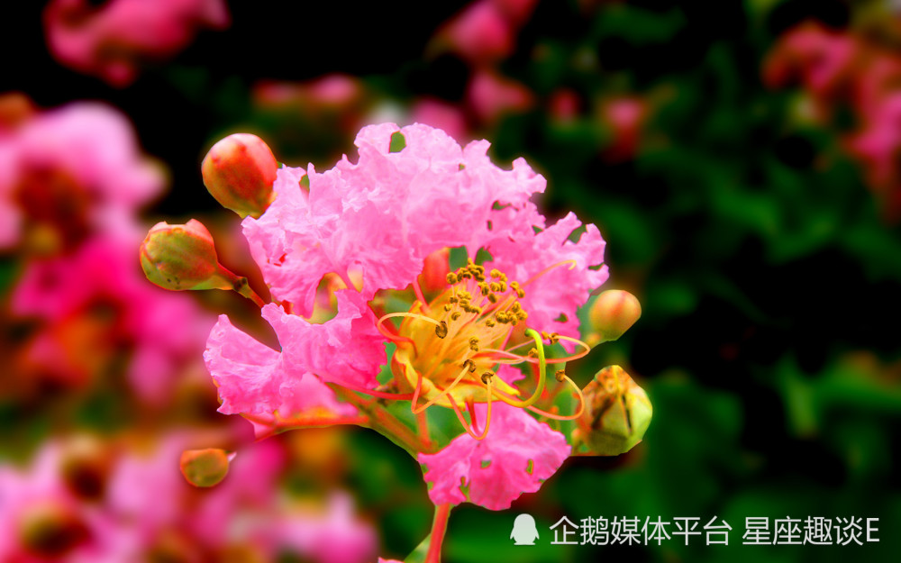 4月12日星座运势 奋发图强 迎来曙光的四大星座 天天看点