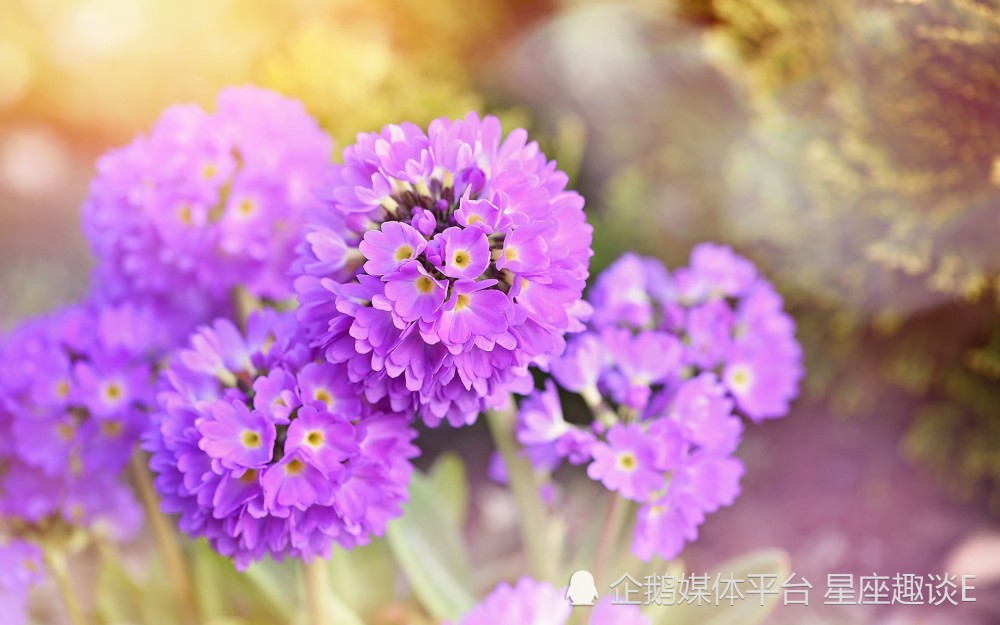 4月12日 18日星座运势 身经百战 不惧艰险的四大星座 腾讯新闻