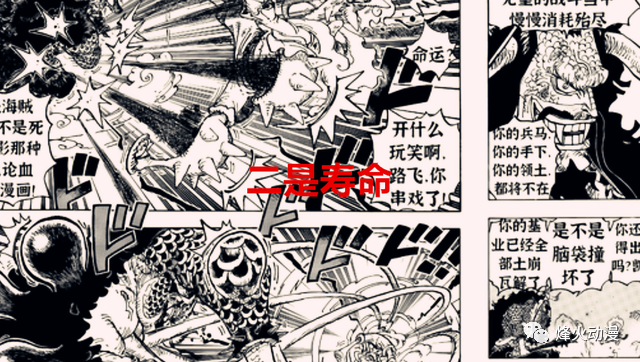 One Piece 1046 Words Interpretation Luffy Has Lost In Years In Addition To Losing Ace What Else Has He Lost Laitimes