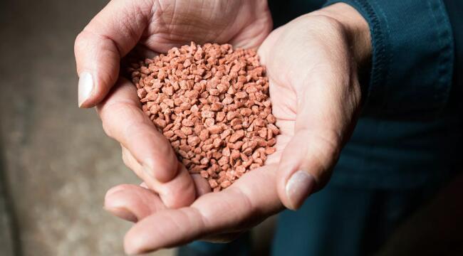 俄媒：白俄驻华大使认为白俄近期能解决物流困境，以向中国供应往年数量钾肥的英文