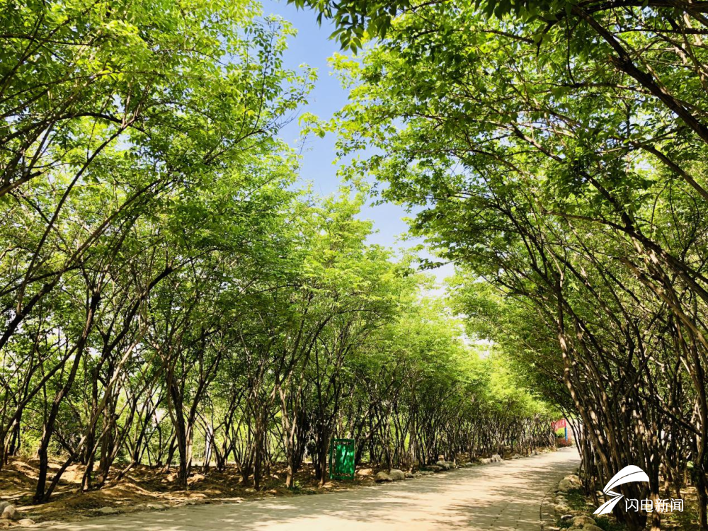 济南高新区马山坡公园:在市区拥抱大自然