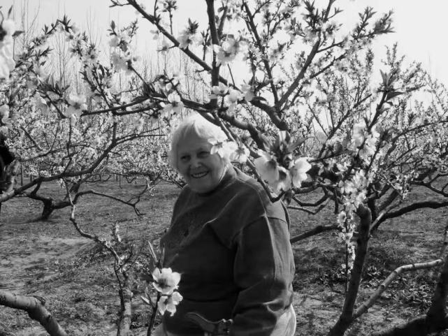 "中美友谊的真正典范"——社会各界缅怀河南大学教授吴雪莉先生