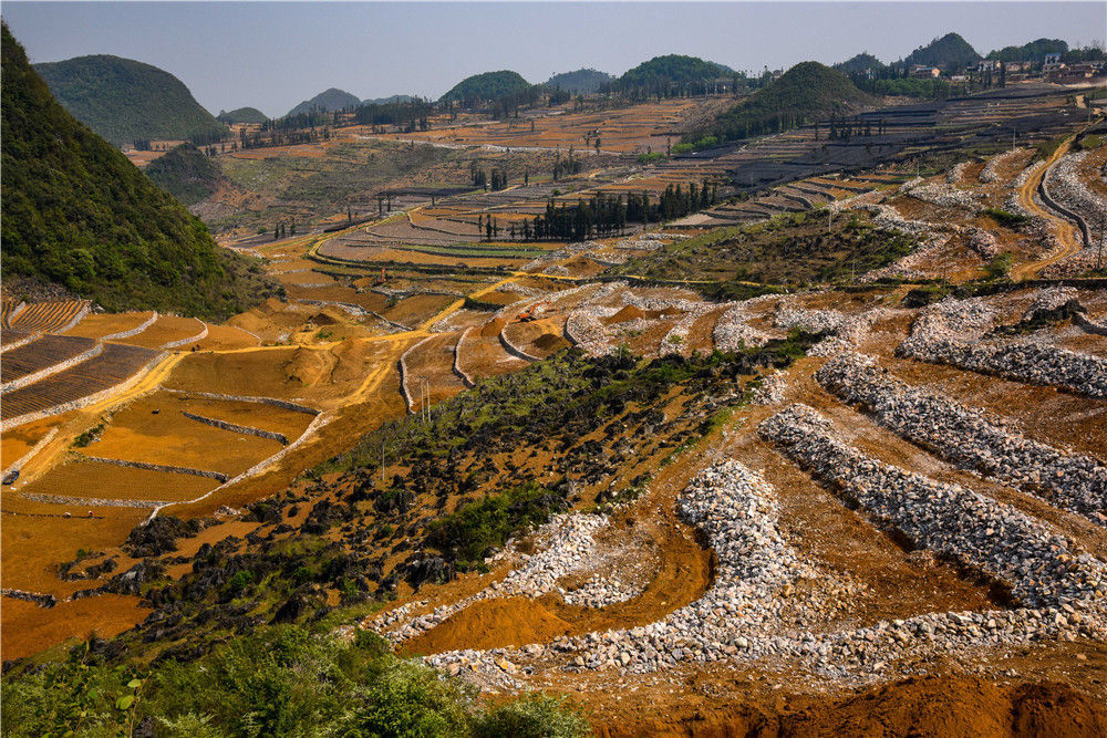 4%的土地石漠化,云南省文山壮族苗族自治州西畴县是全国石漠化程度最