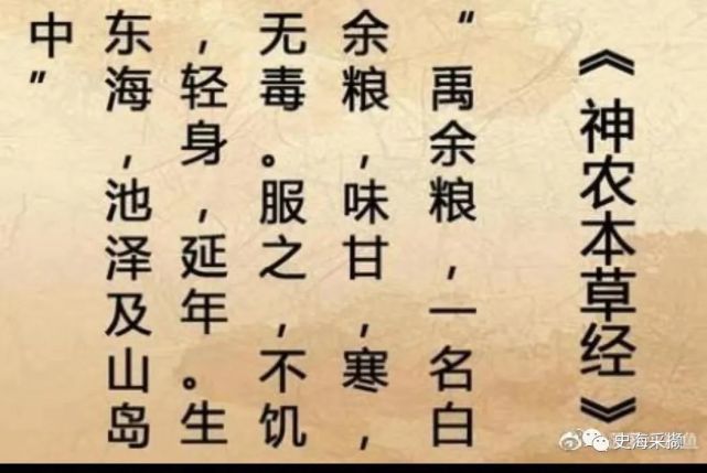 《山海经》中"吃了不会饥饿"的"祝余"草是什么东西?