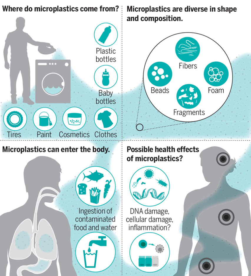 我们都是塑料人？！人体血液首次发现微塑料！_腾讯新闻