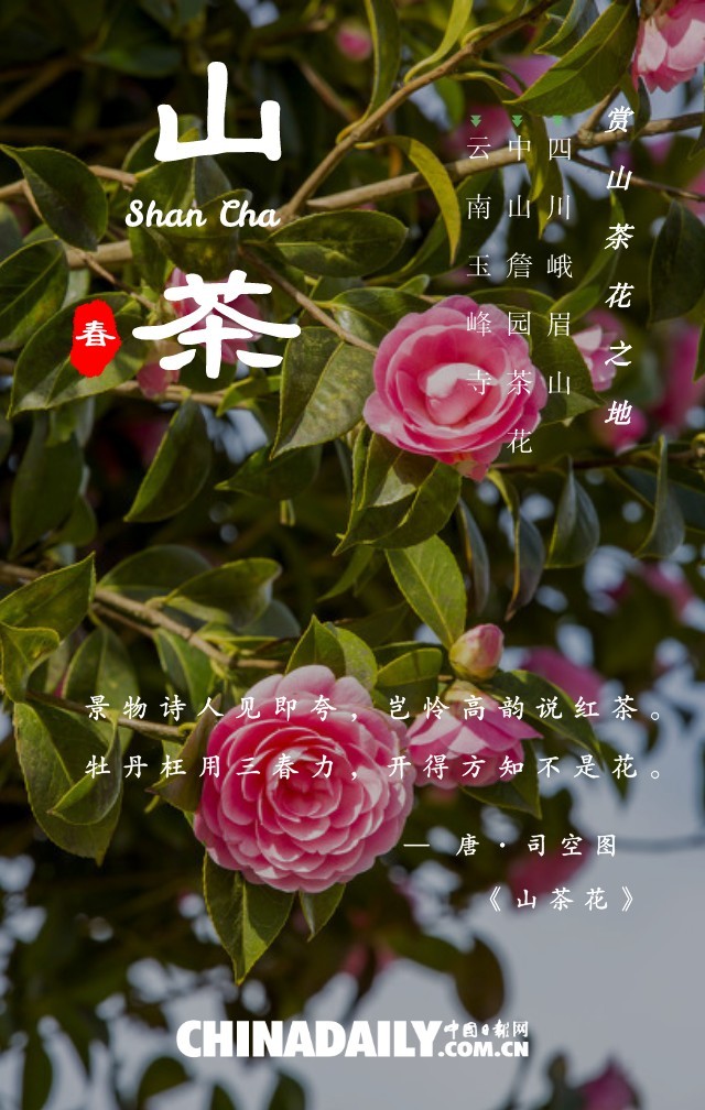 海报|最美人间四月天,伴着诗词去赏花