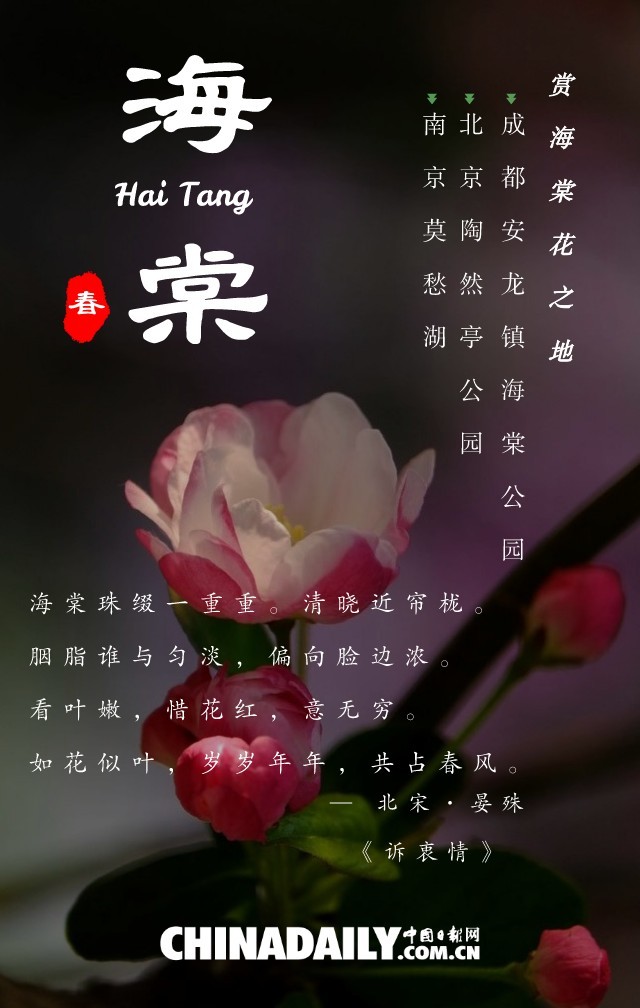 海报|最美人间四月天,伴着诗词去赏花