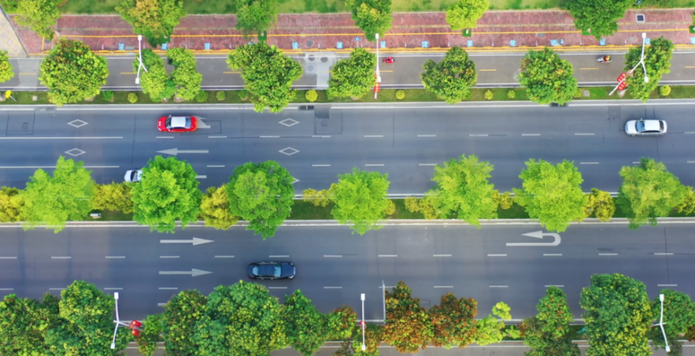 "市民李先生正在康乐大道散步,说到火炬开发区市容的变化,他忍不住点