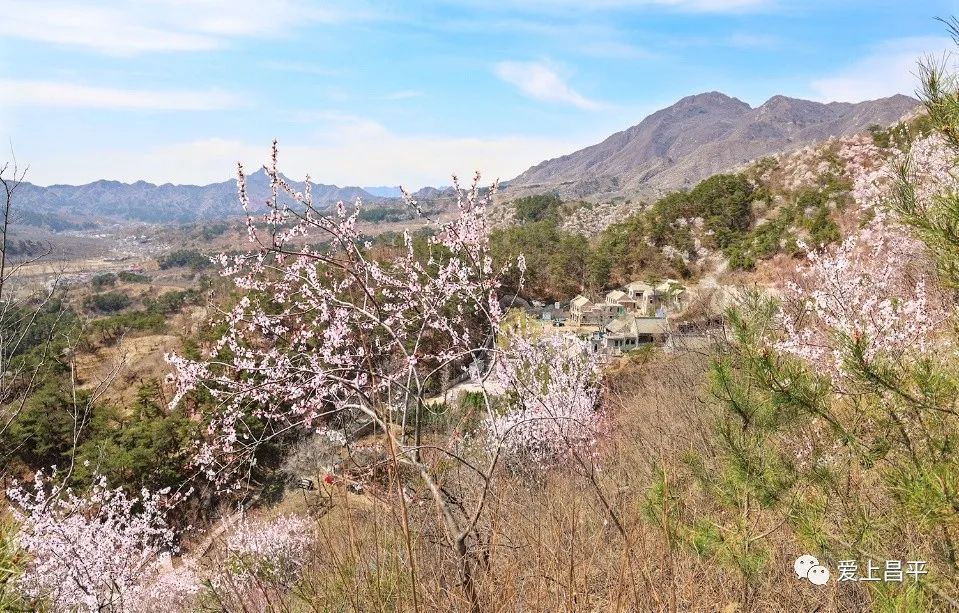 房山桃花谷图片