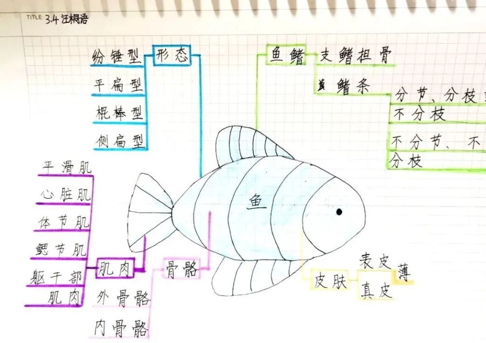 下雨之前还有哪些动物有反常行为?