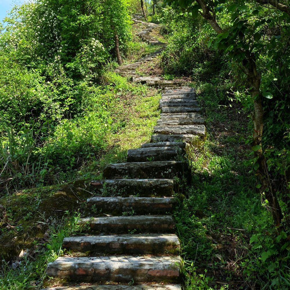 彭州牛心山图片