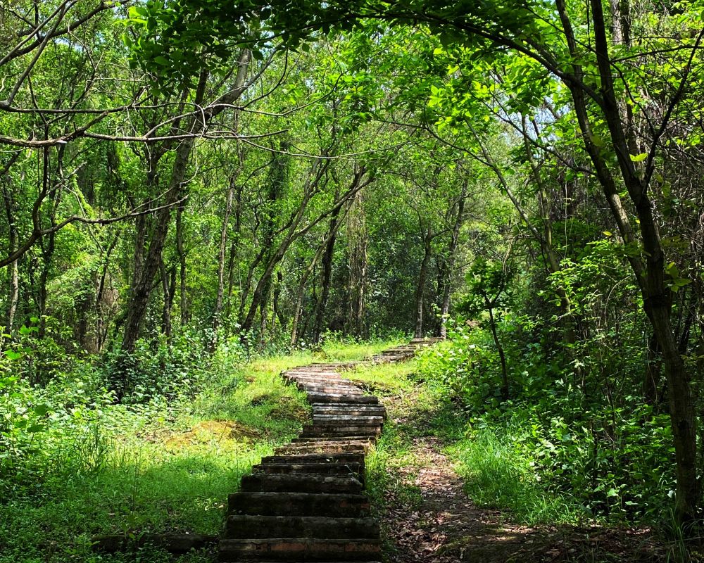 徒步成都彭州牛心山,山顶风景绝佳,千年古寺有着神奇传说_腾讯新闻