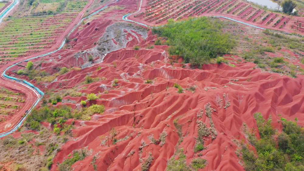 南雄红砂岭综合治理工程显成效_腾讯新闻