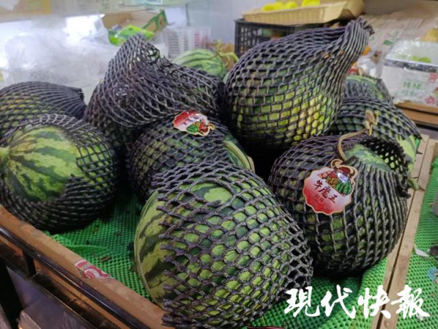 西瓜上新高攀不起南京月底东台瓜上市价格有望回落