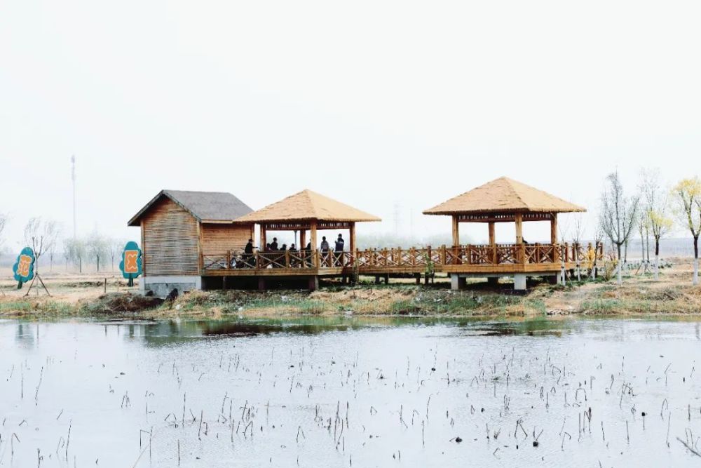 绿屏辛庄湾一湾春色引人来鸟语花香惹人醉