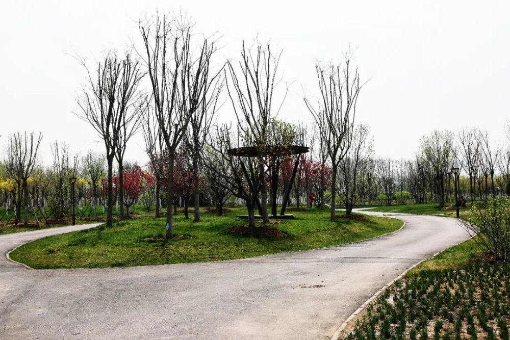 绿屏辛庄湾一湾春色引人来鸟语花香惹人醉